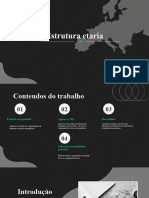 Geografia Estrutura Etaria Populacao Portuguesa