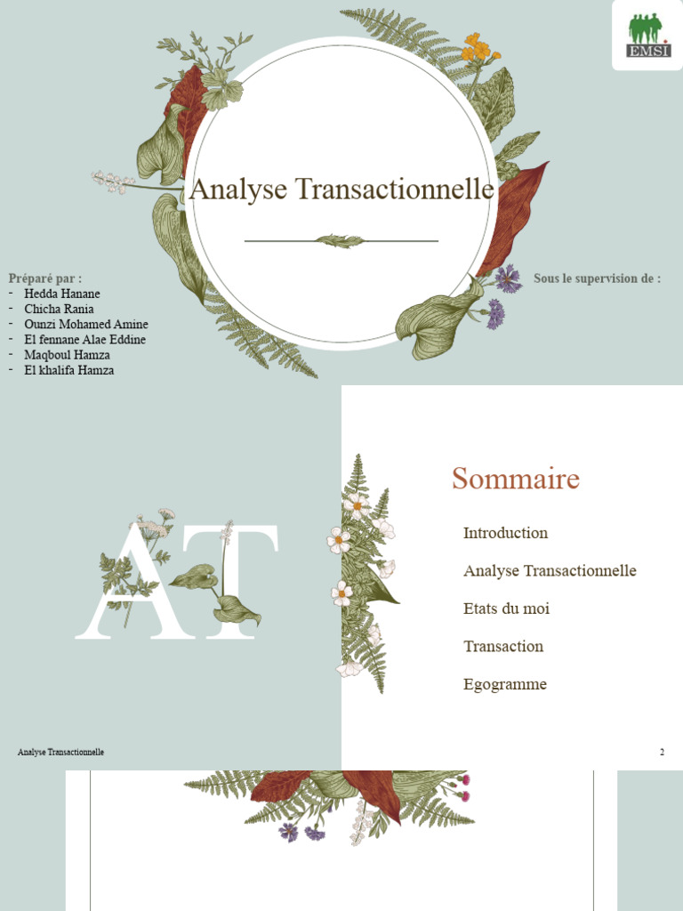 Comprendre l'Analyse Transactionnelle | PDF | Psychologie | Émotions
