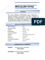 Curriculum Vitae Brito