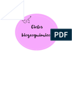 Ciclos Bioquígeomicos