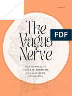 The Vagus Nerve FetVO