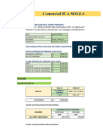 Comercial Ica Soleada SAC - Rayme