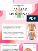 Cavidad Abdominal. EXPO ANATO