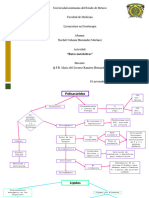 Rutas Metabolicas - XNHM