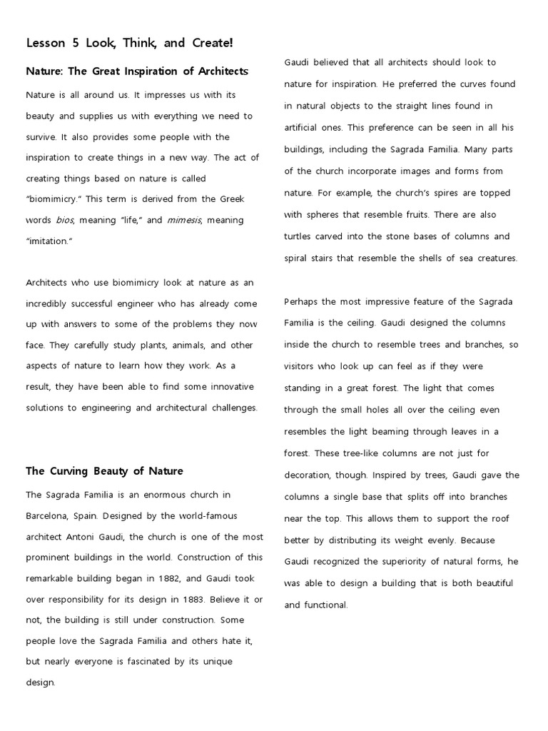 Lesson 5 look think and create pdf nature natural environment