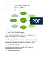 Atividade de Métodos Físico-Matemáticos Aplicados Alunos: Marcelo Cambeiro e Luiza Gibson 1. Mapa Conceitual