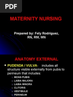 Maternity Nursing Lecture Presentation