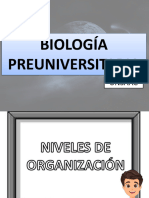 2-Niveles de Organización