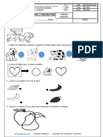 Examen Comunicación