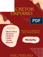 EXCRETOR URINÁRIo