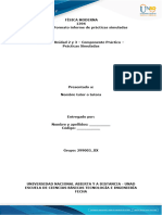 Anexo 1 - Formato Informe de Prácticas Simuladas