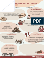 Infografia Evolucion Humana Ilustrado Colores Neutrales