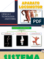 Clase01 Osteologia