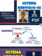 Clase13 Sist Nervioso III 1