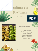 Cultura Da Banana - 20231120 - 225647 - 0000