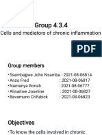 Cells and Mediators of Chronic Inflammation