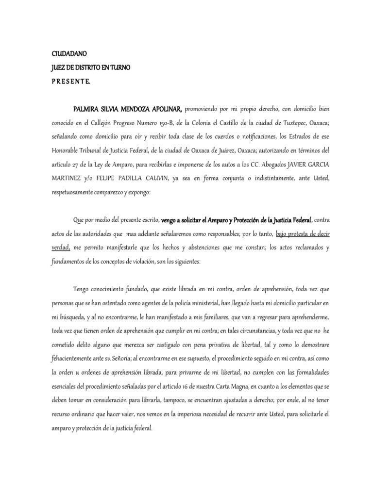 Solicitud de Amparo por Orden de Aprehensión | PDF | Violación | Debido ...