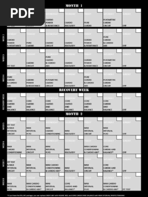 Insanity workout sheet