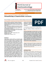 Histopathology of Hepatocellular Carcinoma