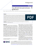 Small But Mighty: Old and New Parvoviruses of Veterinary Significance