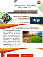 5 - Problemas Ambientales y Contaminación