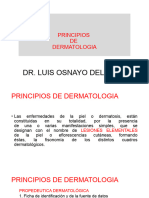 Principios de Dermatologia