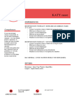 Katy Curriculum Vitae-2
