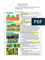 IPA Tema 2