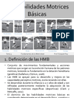 Tema 3 Fundamentos de La Motricidad