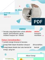 Makalah Energi Dan Metabolisme Sel