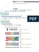 Genome Projects - FactRecall