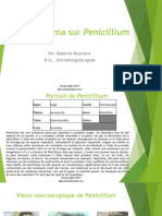 Diaporama-sur-Penicillium-1 2