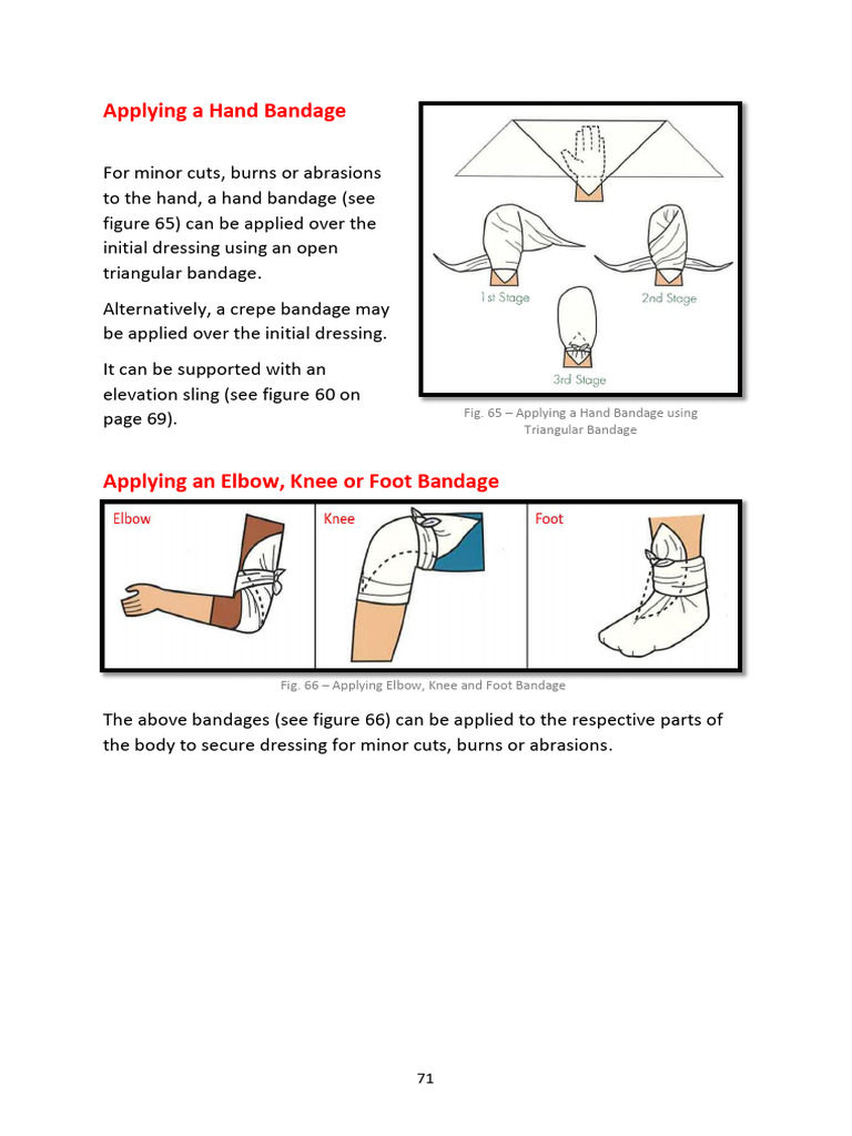 SFA Manual Rev 1 2020 - Final 76 100 | PDF | Human Musculoskeletal ...