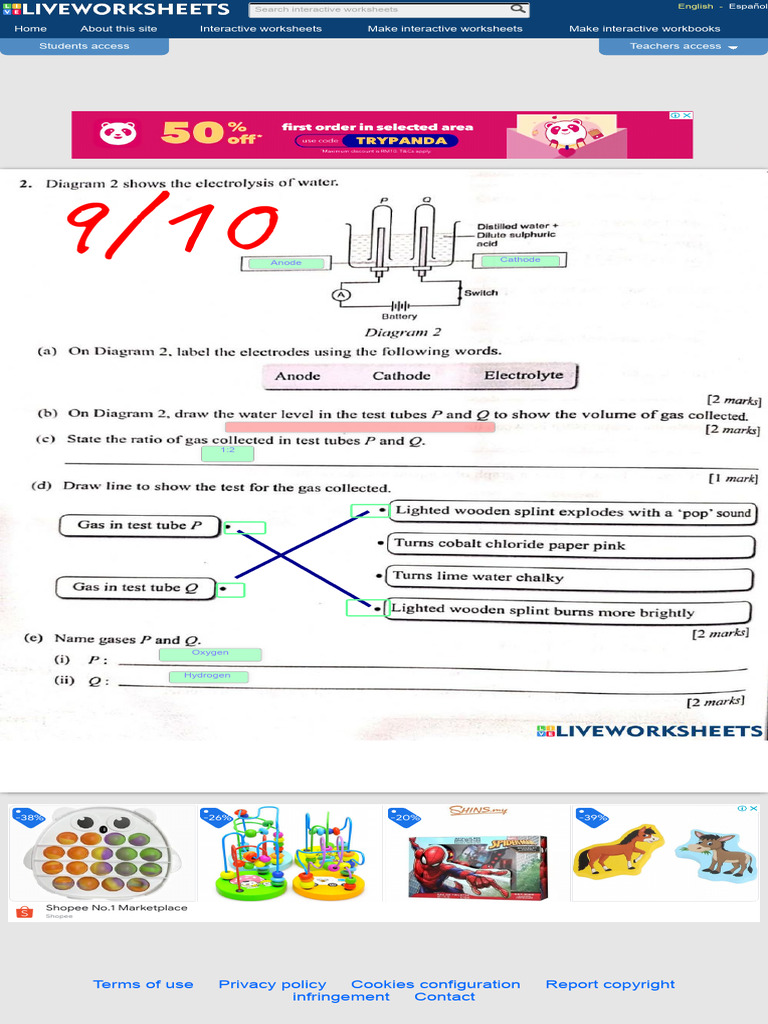 Electrolysis Worksheet PDF