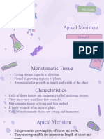 Apical Meristem Changed