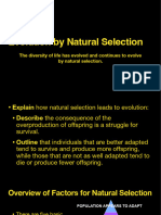 Evolution and Natural Selection