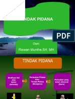 Tindak Pidana I