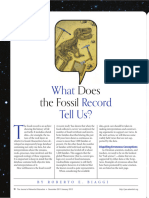 What Does The Fossil Record Tell Us