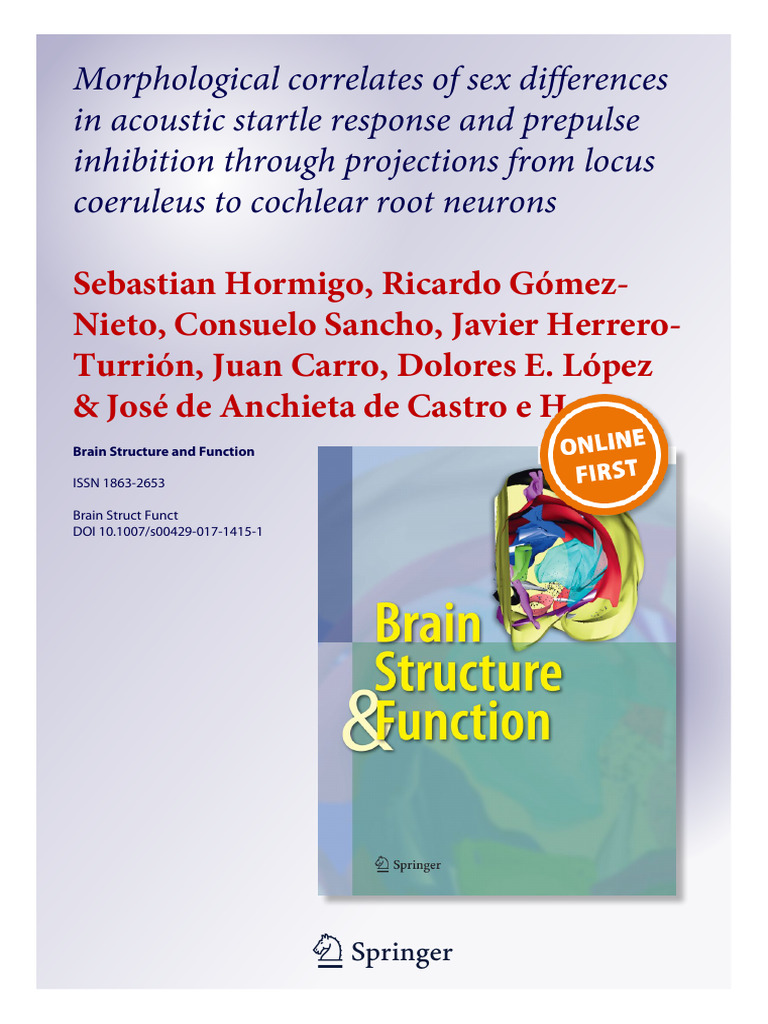 2017 hormigo et al 2017 brain struct function con caratula pdf