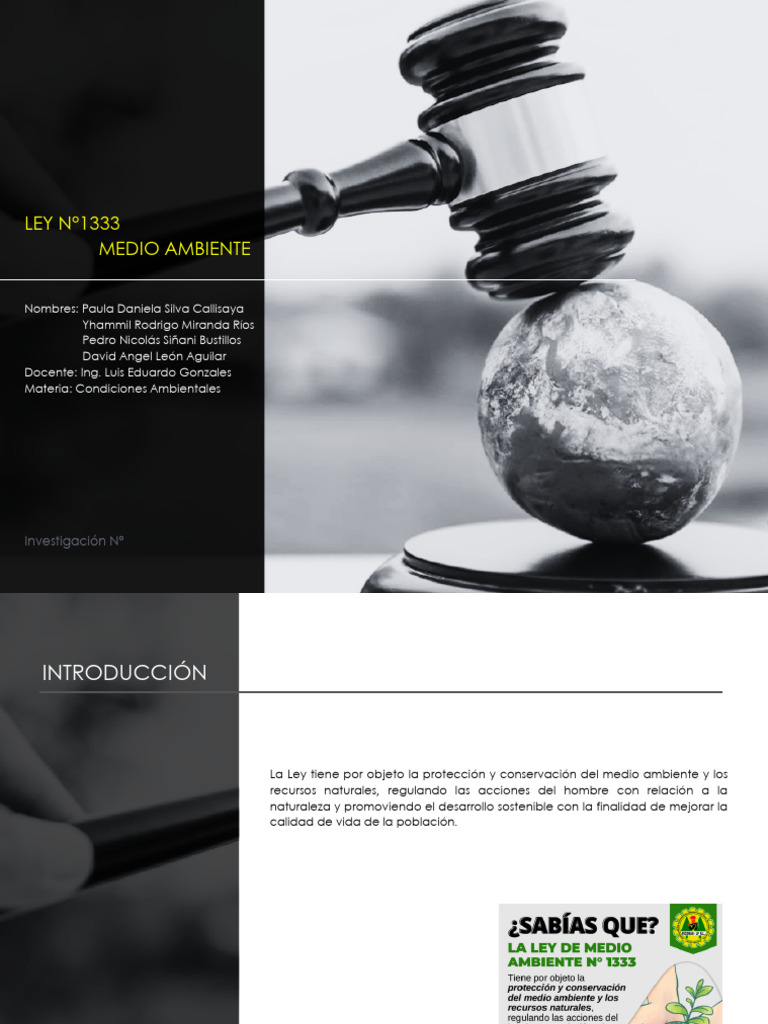 Ley Del Medio Ambiente | PDF | Entorno natural | Sustentabilidad