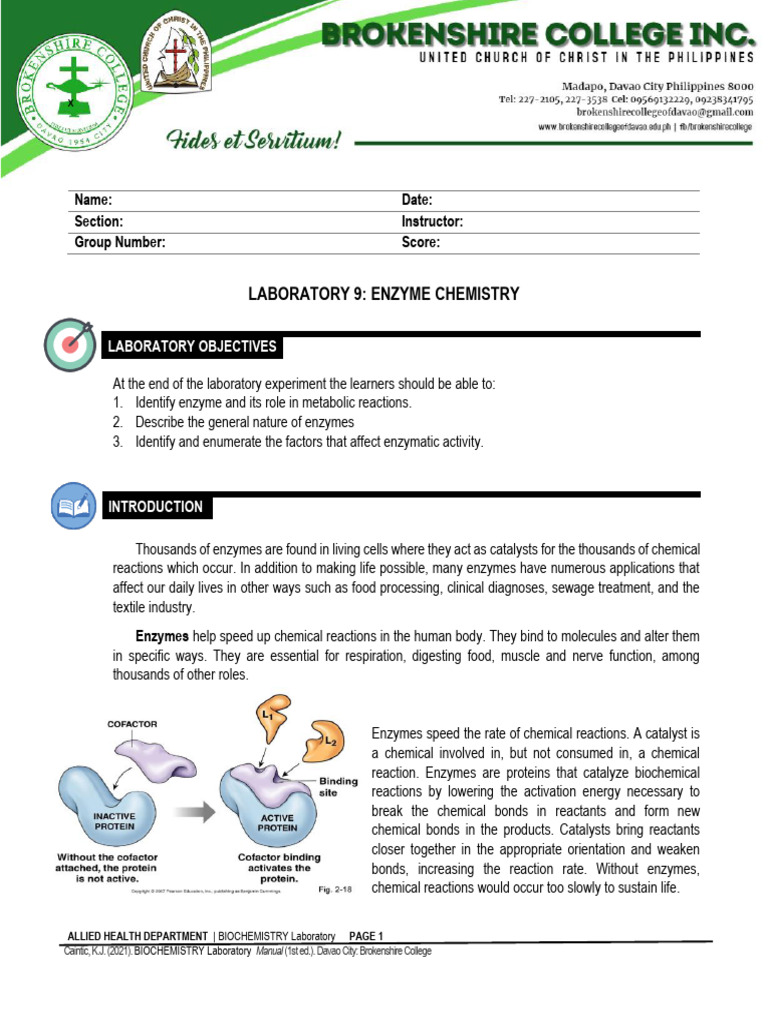 BIOCHEM Enzyme Activity PDF Enzyme Chemical Reactions