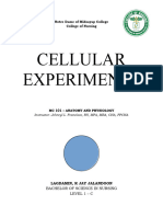 Experiment 2 - Plasmolysis