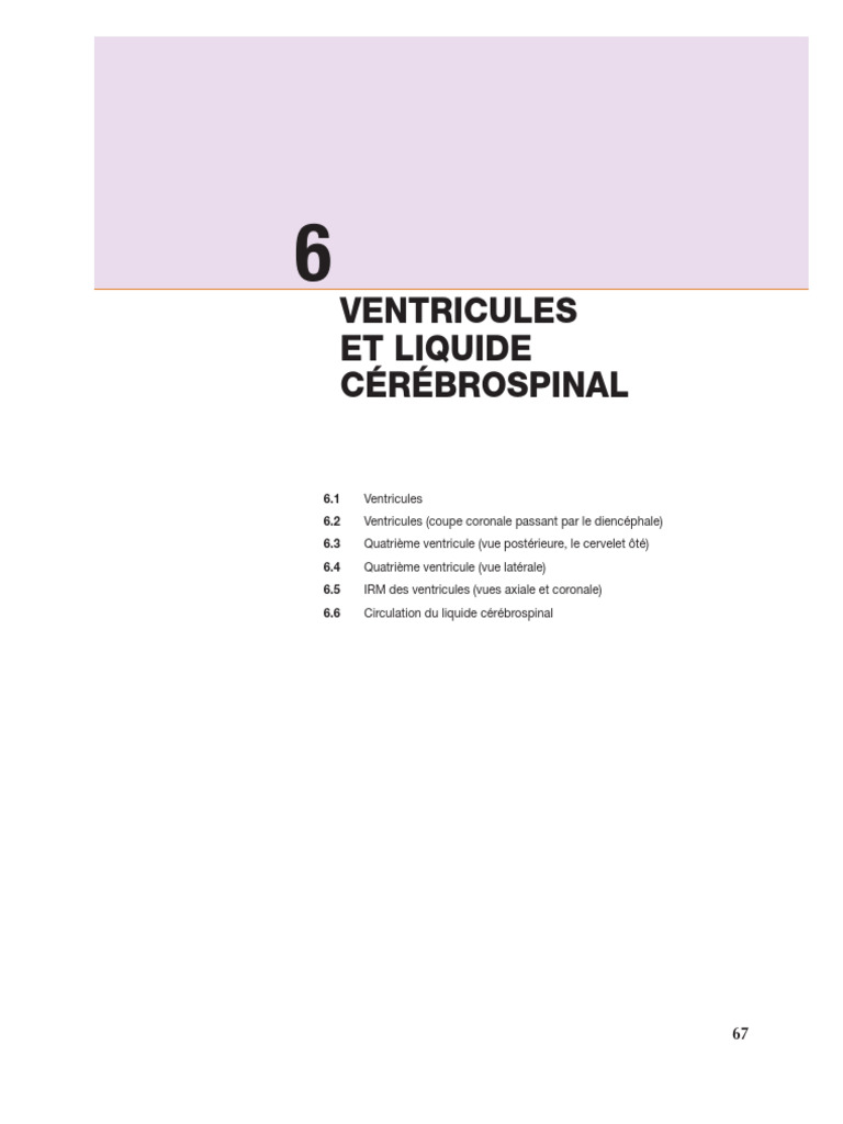 Circulation du LCR et ventricules cérébraux | PDF | Liquide cérébro ...