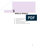 5 Moelle Spinale