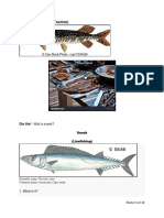 Snoek Sterrekyker Here Be Dragons - Werkkaart en Memo