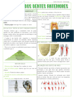 Anatomia