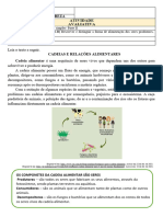 Atividade 9 4o Ano CN Tema Cadeias e Teias Alimentares Simples Professor