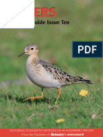 Bird ID Photo Guide - Waders, Issue 10, 2023