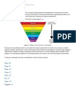 Notes On Classification