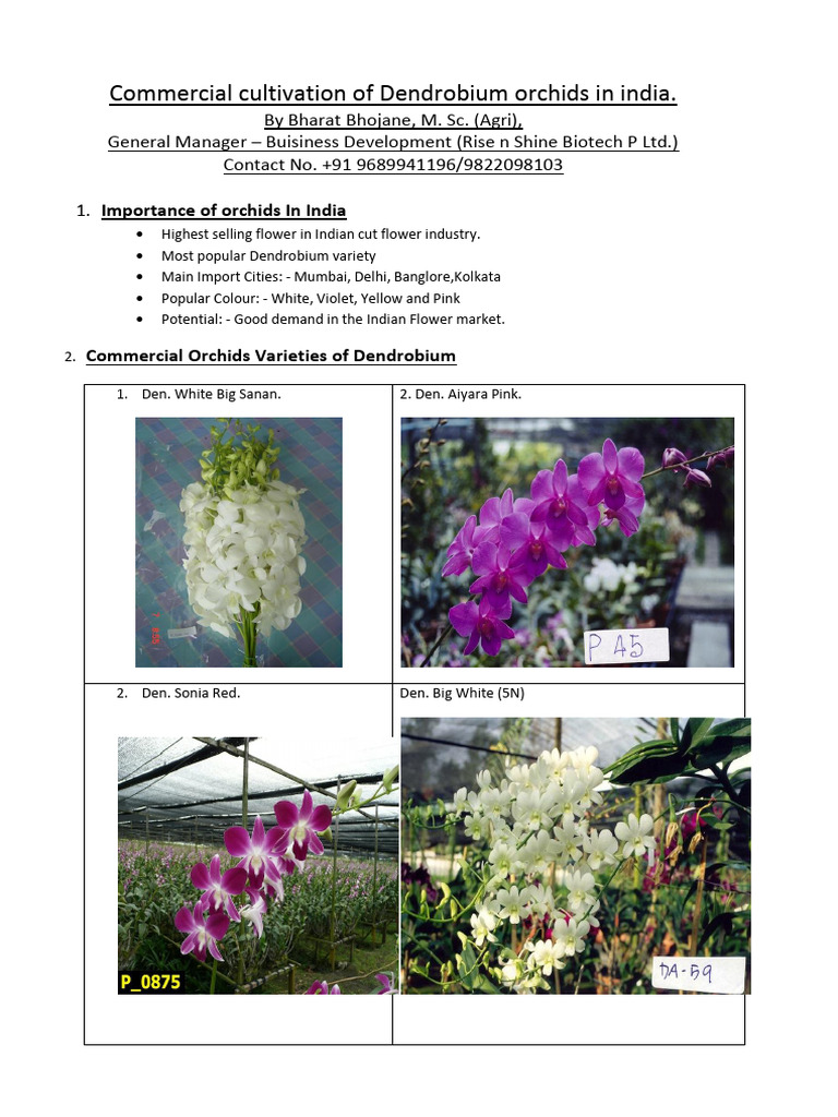 Orchid Cultivation | PDF | Deep Foundation | Foundation (Engineering)